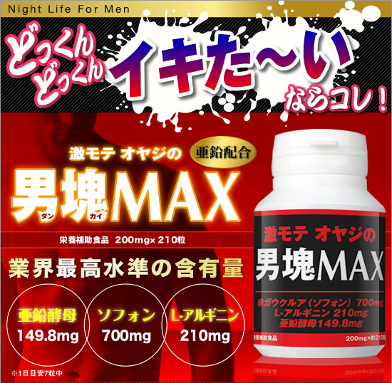 ���͎��{���s�T�v�������g�w�j��MAX�i�j��}�b�N�X�x