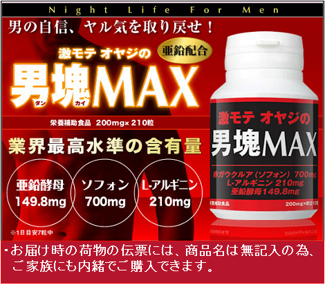 ���͎��{���s�T�v�������g�w�j��MAX�i�j��}�b�N�X�x