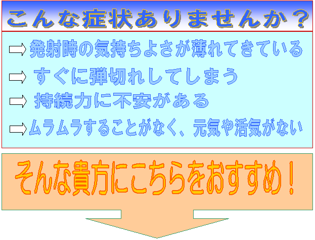 ���͎��{���s�T�v�������g�w�j��MAX�i�j��}�b�N�X�x